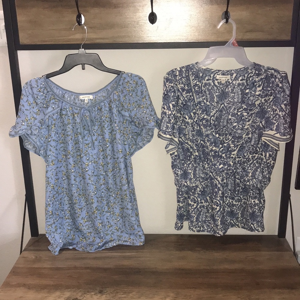 Set of 2 Max Studio Blouses